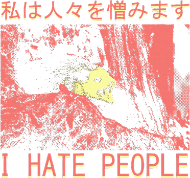 I Hate People Opossum I Hate People Opossum Japanese Kids Hoodie