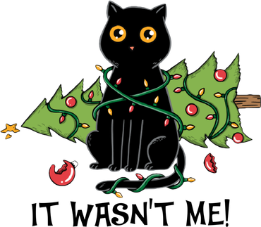 It Wasnt Me Christmas Tree Funny Cat Kids Sweatshirt