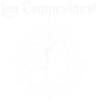 Los Campesinos Polo