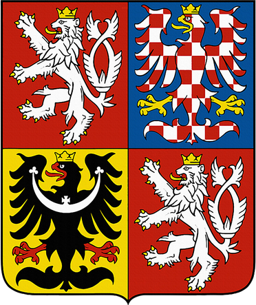 Czech Republic Coat Of Arms Flag Souvenir Prague Kids T-Shirt