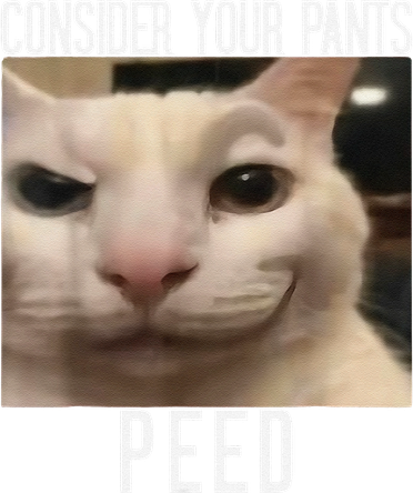 Consider Your Pants Peed Weird Cat Meme Funny Memes Brainrot Coffee Mug