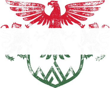 Hungary Lions And Eagle Symbol Hungarian Flag Women's Hoodie