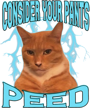 Consider Your Pants Peed Silly Cat Meme Coffee Mug