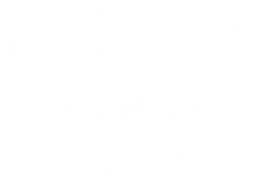 Mackinac Island Michigan Mi Vintage Established Sports Toddler Hoodie