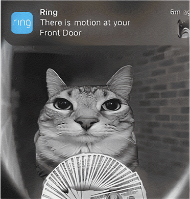 Ring There Is Motion At Your Front Door Funny Hooded Wearable Blanket