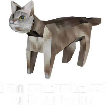 Funny I Am Contaminated With Radiation Ironic Cat Meme Kids T-Shirt