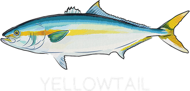 Yellowtail Saltwater Game Fish Ornament