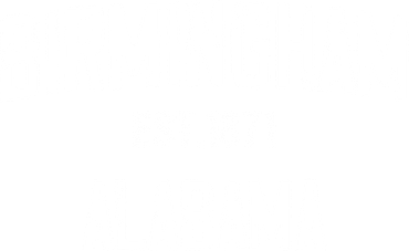 Birmingham Alabama Al Vintage Established Sports Button