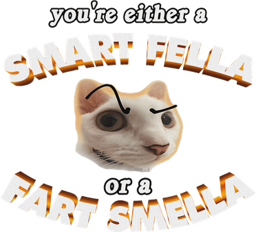 YouRe A Smart Fella Or A Fart Smella Meme Cat Brainrot Apron