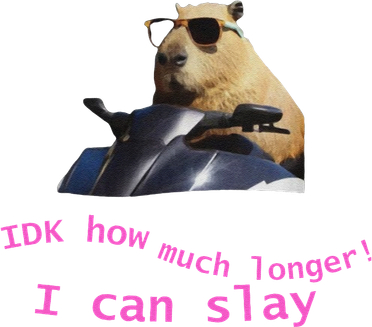 Idk How Much Longer I Can Slay Capybara Sarcastic Dank Meme Coaster