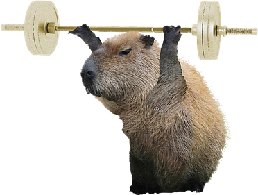 Capybara Weightlifting Funny Body Building Training Ornament