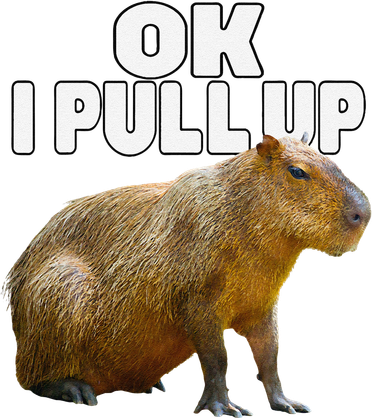 Ok I Pull Up Capybara Funny Capybara Lover Dank Meme Kids T-Shirt