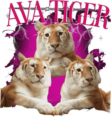 Ava The Golden Tiger Of Chiang Mai Cute Big Orange Cat Women's T-Shirt