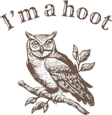 Retro IM A Hoot Owl Bird Pun Sarcastic Jokes Women Kids Hoodie