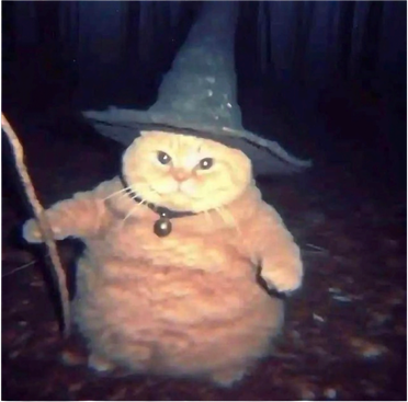 Wizard Cat Weird Funny Halloween Cat Meme Button