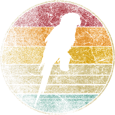Parrot Bird Vintage Distressed Retro Style Silhouette 70s Women's T-Shirt