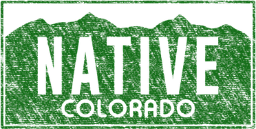 Colorado Native License Plate Distressed Design Colorado Women's Hoodie