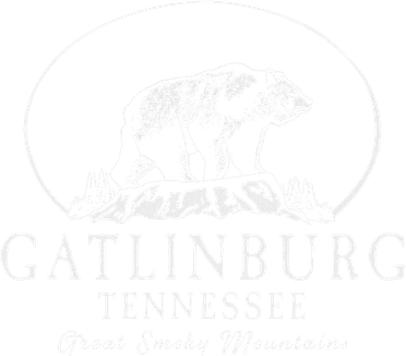 Gatlinburg Tennessee Great Smoky Mountains Toddler Hoodie