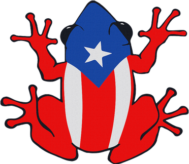 Patriotic Puerto Rico Flag Frog Puero Rican Culture Roots Hooded Wearable Blanket