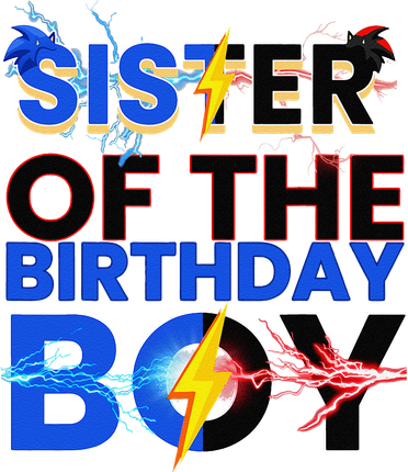 Sister Of The Birthday Boy Hedgehog Family Party Decorations Women's Tank Top