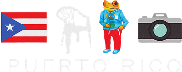 Puerto Rico Dtmf Kids T-Shirt