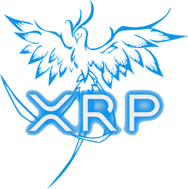 Xrp Merchandise Cryptocurrency Gift Blockchain Crypto Hoodie