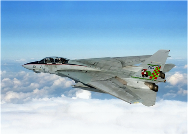 F14 Fighter Jet Tumbler