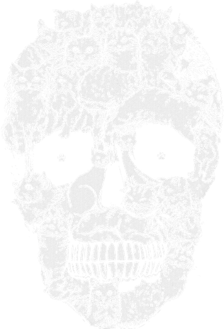 Cat Skull Kitty Skeleton Halloween Costume Kids T-Shirt