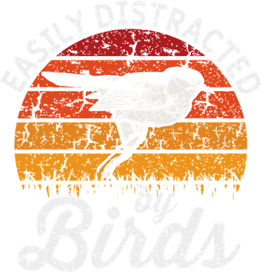 Vintage Distressed Easily Distracted By Birds Funny Bird Women's Hoodie