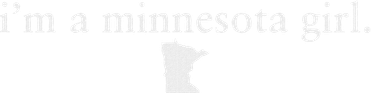 Minnesota State Minneapolis Home State Coaster