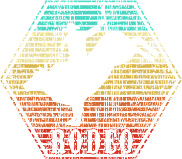 Rodeo Bull Riding Vintage Cowboy Women's Long Sleeve Shirt