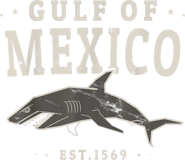 Gulf Of Mexico 1569 Women's T-Shirt