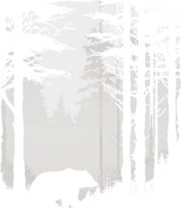 Graphic Bear Forest Wildlife Silhouette Mist Wilderness Toddler T-Shirt
