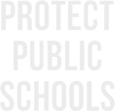 Protect Public Schools Mousepad