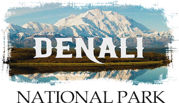 Retro Vintage Denali Alaska National Park Design Button