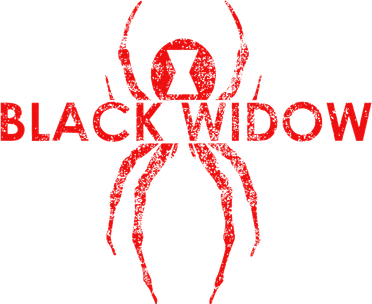 Black Widow Spider Gift Toddler T-Shirt