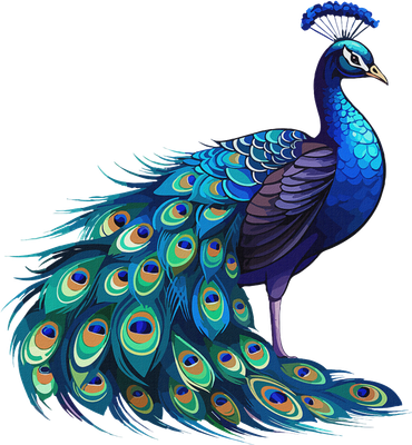 Beautiful Blue Peacock Teal Feathers Bird Lover Women Kids Hoodie