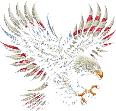 Patriotic American With Eagle And Usa Flag Kids Hoodie