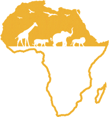 Africa Safari African Wild Animals Environment National Park Tumbler