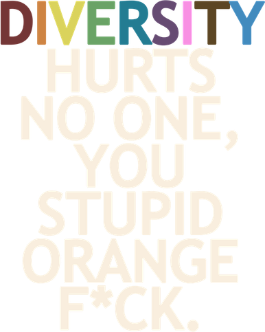 Diversity Hurts No One You Stupid Orange Fck Funny Slogan Women's Long Sleeve Shirt