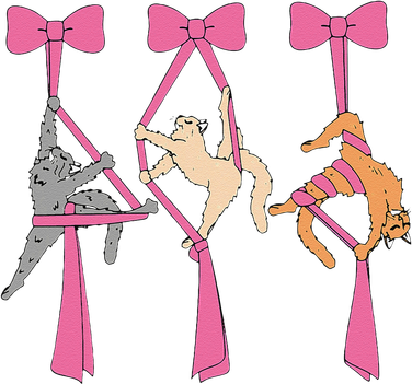 Bow Aerial Silks Cat Aerial Aerialist Yoga Hammock Cat Mom Hooded Wearable Blanket