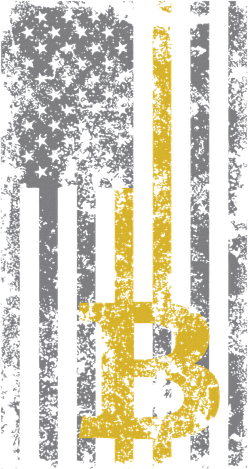 Bitcoin Usa Flag Distressed Digital Currency Lover Ornament