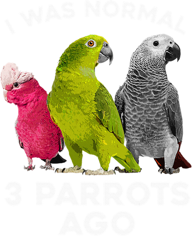 Cool Parrot Art For Men Women Cockatoo Cockatiel Macaw Bird Button