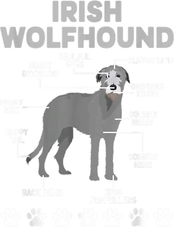Anatomy Of Irish Wolfhound Lover Irish Wolfhound Owner Hoodie