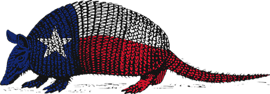 Armadillo Texas Flag Women's Sweatshirt