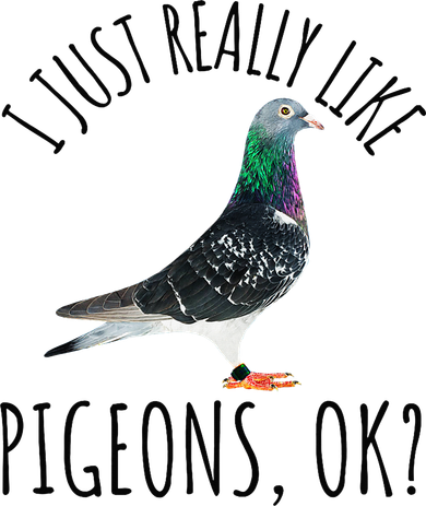 Pigeon Racing Love Pet Day I Just Really Like Pigeons, Ok Hoodie