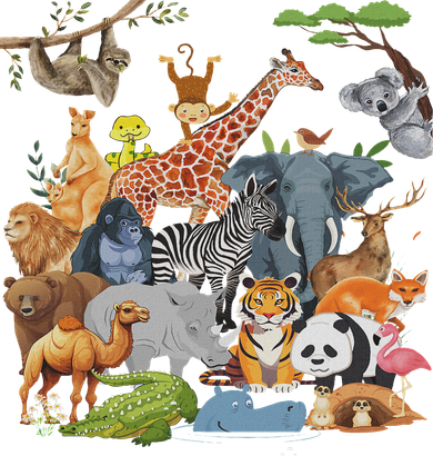 Women And Wildlife Zoo Day Party Cute 22 Animals Women's T-Shirt