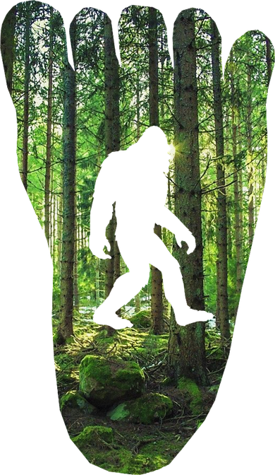 Bigfoot Track Cryptid Believer Forest Nature Woods Outdoors Toddler T-Shirt