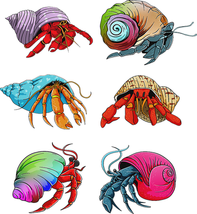 Hermit Crab Design For Hermit Crab Lovers Kids Sweatshirt