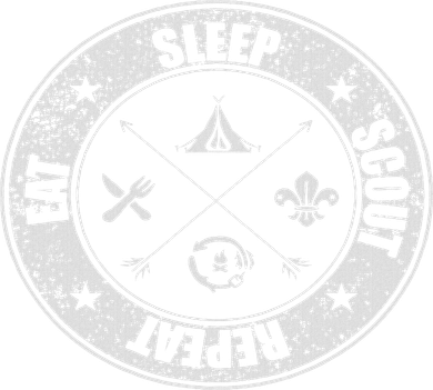 Eat Sleep Scout Repeat Scouting Lover Survival Women's Dry Zone Grid Polo